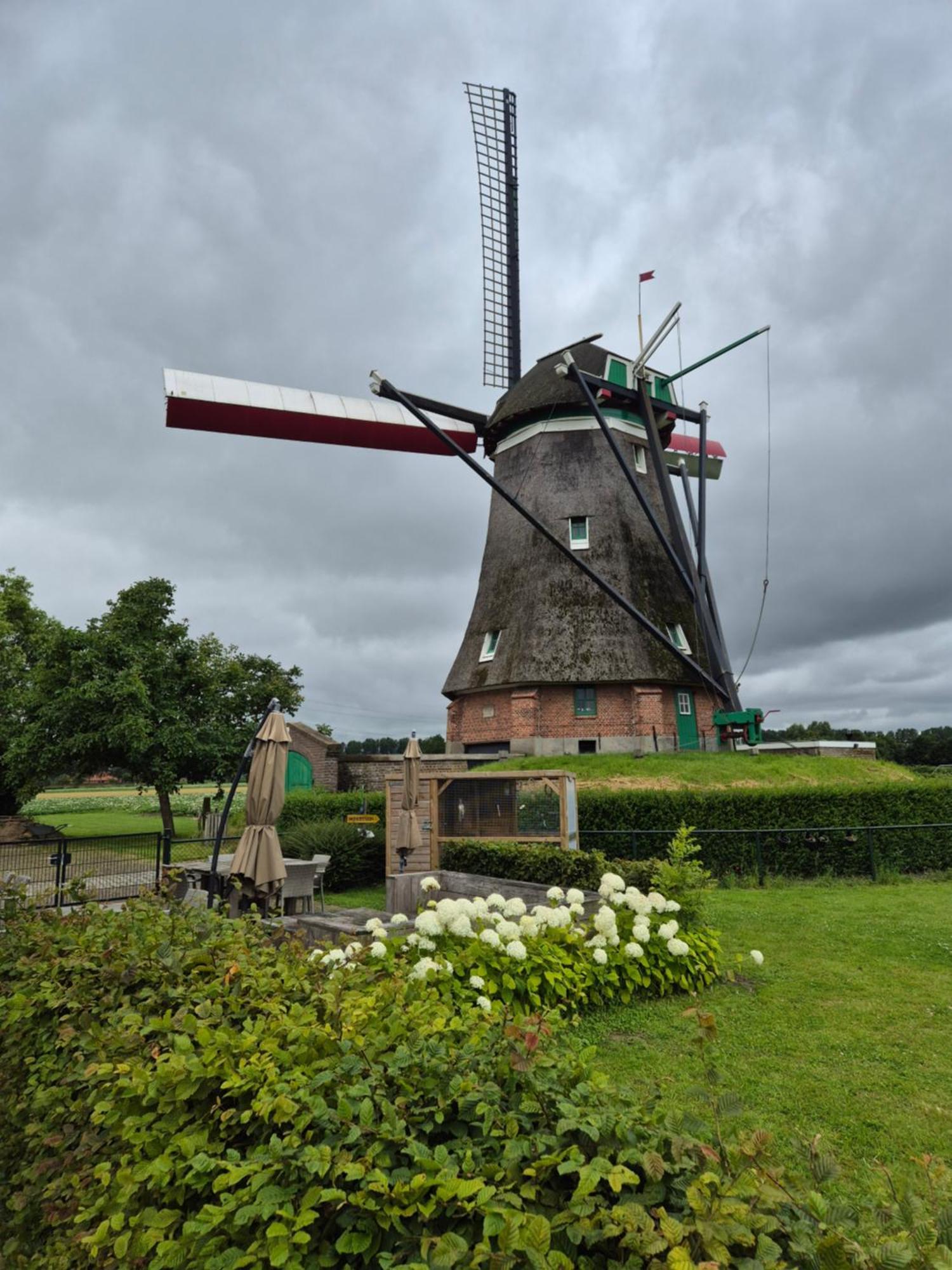 Slapen bij de molen, rustig en landelijk Ovezande Buitenkant foto